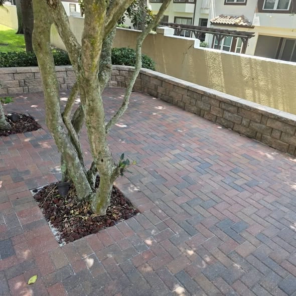Pressure washing vs soft washing Dr. Phillips FL — correct method for stucco and tile roofs