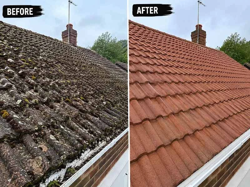 Soft wash roof cleaning Orlando FL — biodegradable sodium hypochlorite chemistry applied at low pressure killing Gloeocapsa Magma algae at the root for 12-24 month results without damaging shingles